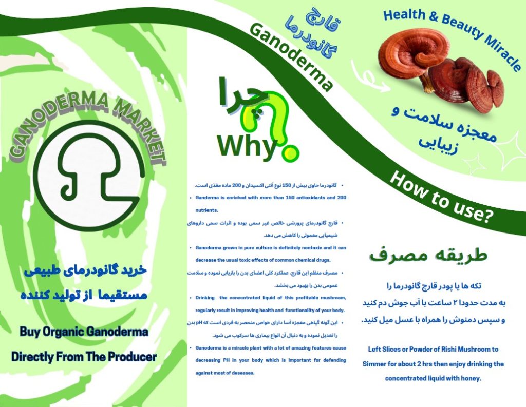کاتالوگ گانودرما مارکت
