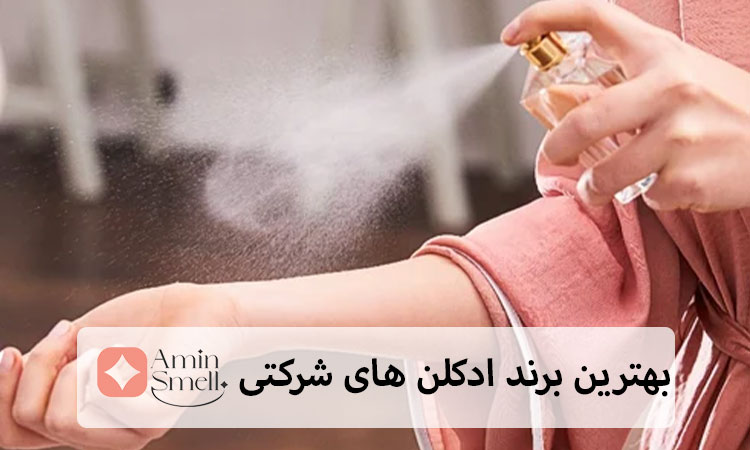 تصویر ضاخص سایت امین اسمل
